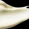 Antipodes Kiwi Seed Oil Eye Cream 30 ml