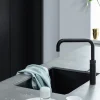 Brabantia Saippuaa annosteleva tiskiharja light grey