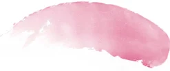 Burt's Bees Tinted Lip Balm Pink Blossom värillinen huulirasva 4,25 g