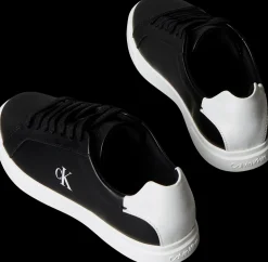 Calvin Klein Low lace up tennarit