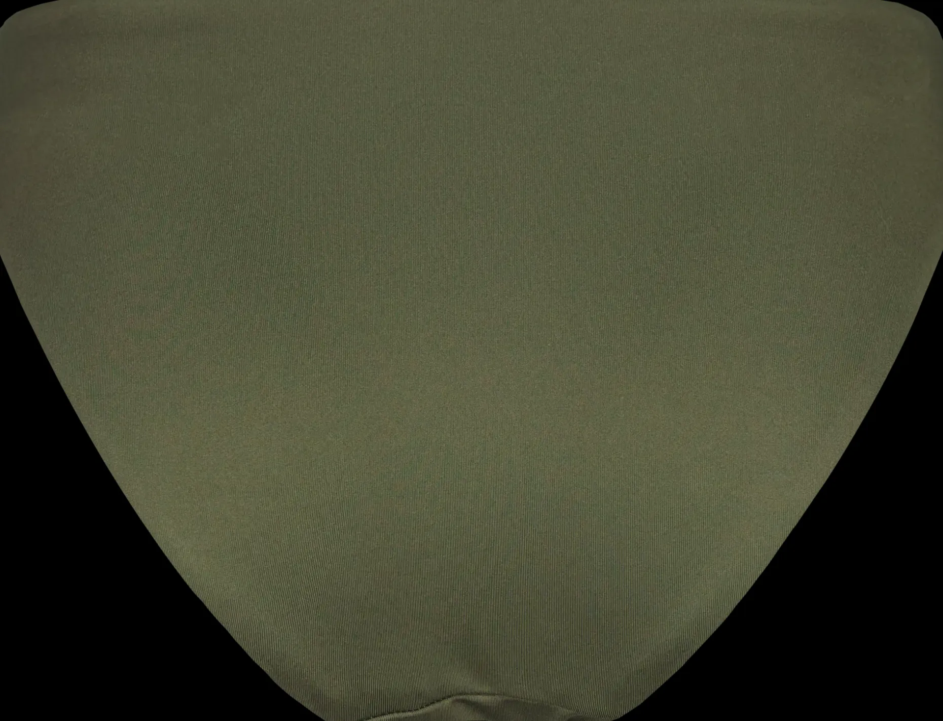 Dedicated Sanda Leaf Green bikinialaosa