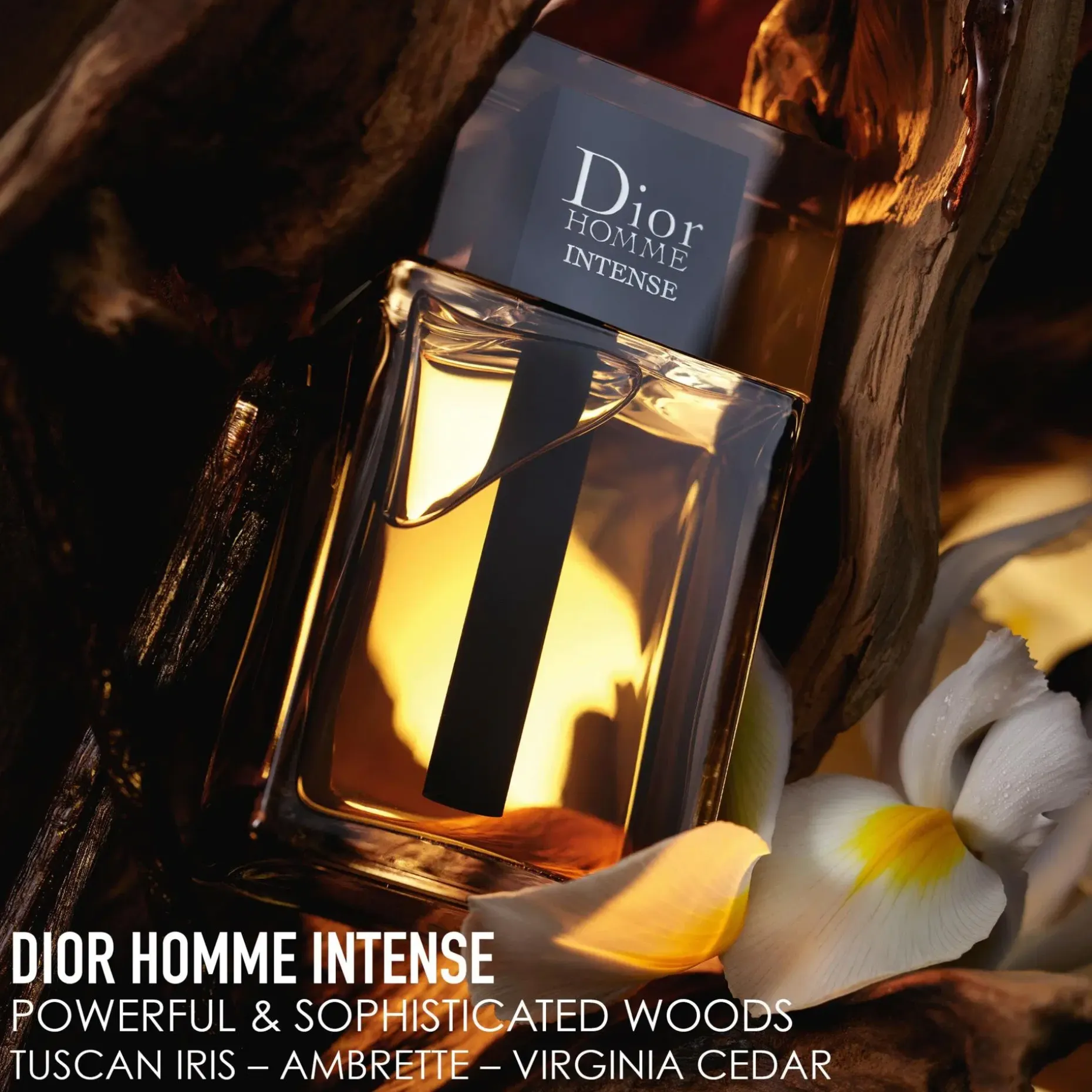 DIOR Homme Intense EdP intense tuoksu 100 ml