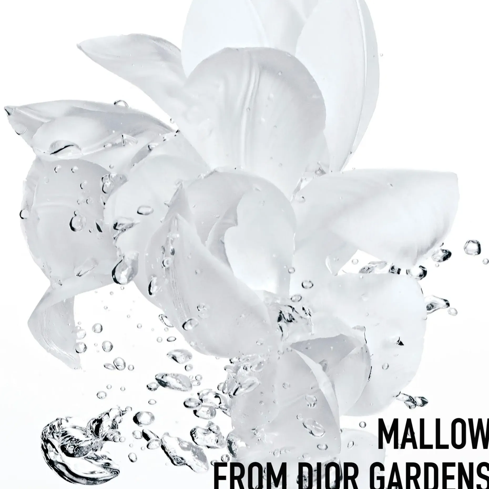 DIOR Hydra Life Fresh Sorbet Creme kasvovoide 50 ml