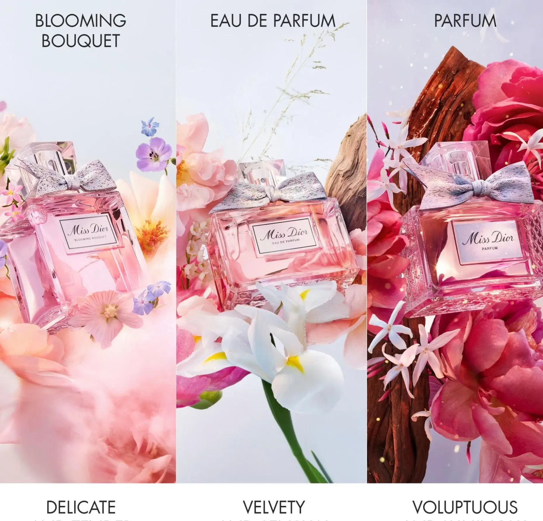 DIOR Miss Dior EdP tuoksu 50 ml