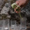 ERNST maljakko/lyhty 8,5cm rosopintainen kirkas lasi
