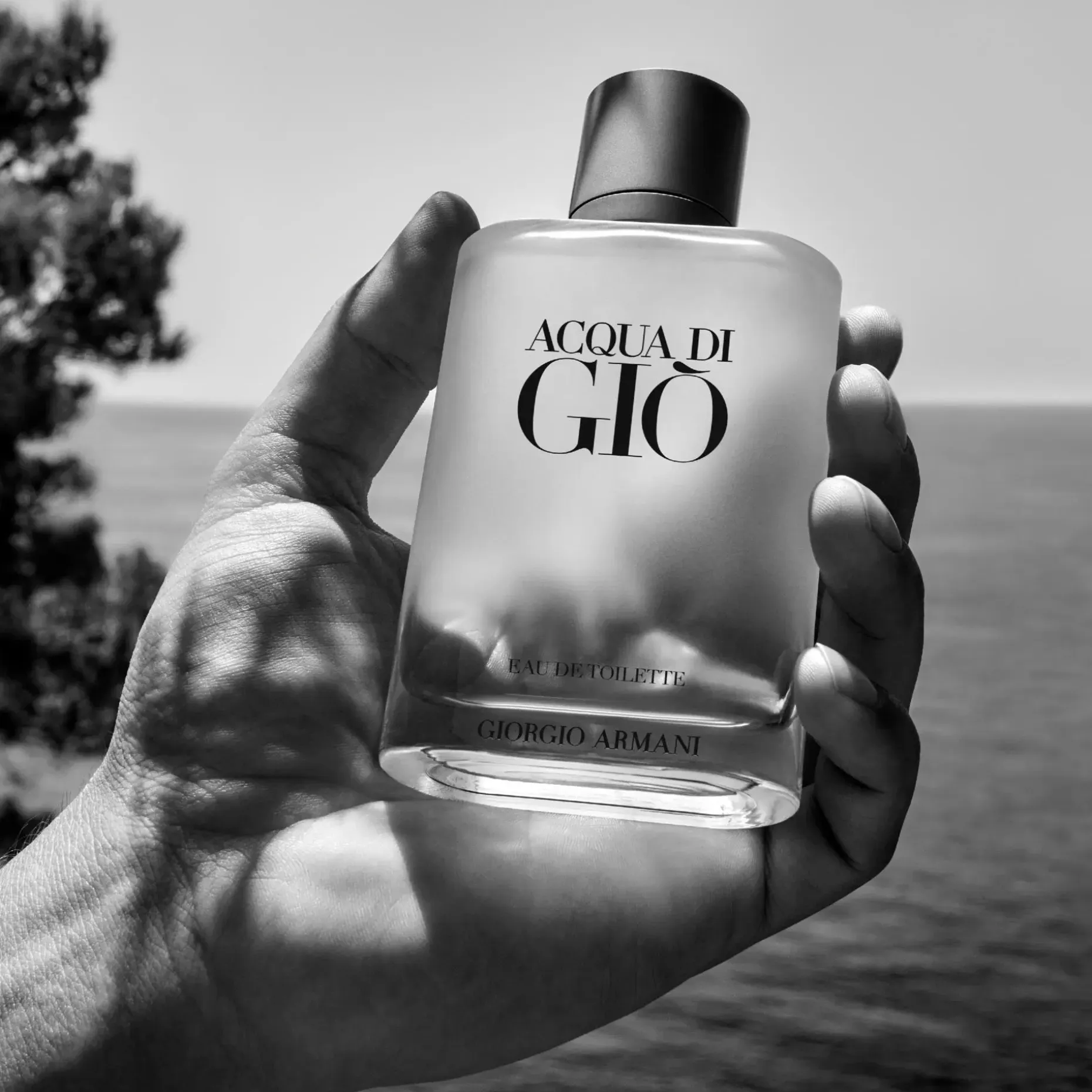 Giorgio Armani Acqua di Gio EdT tuoksu 30 ml