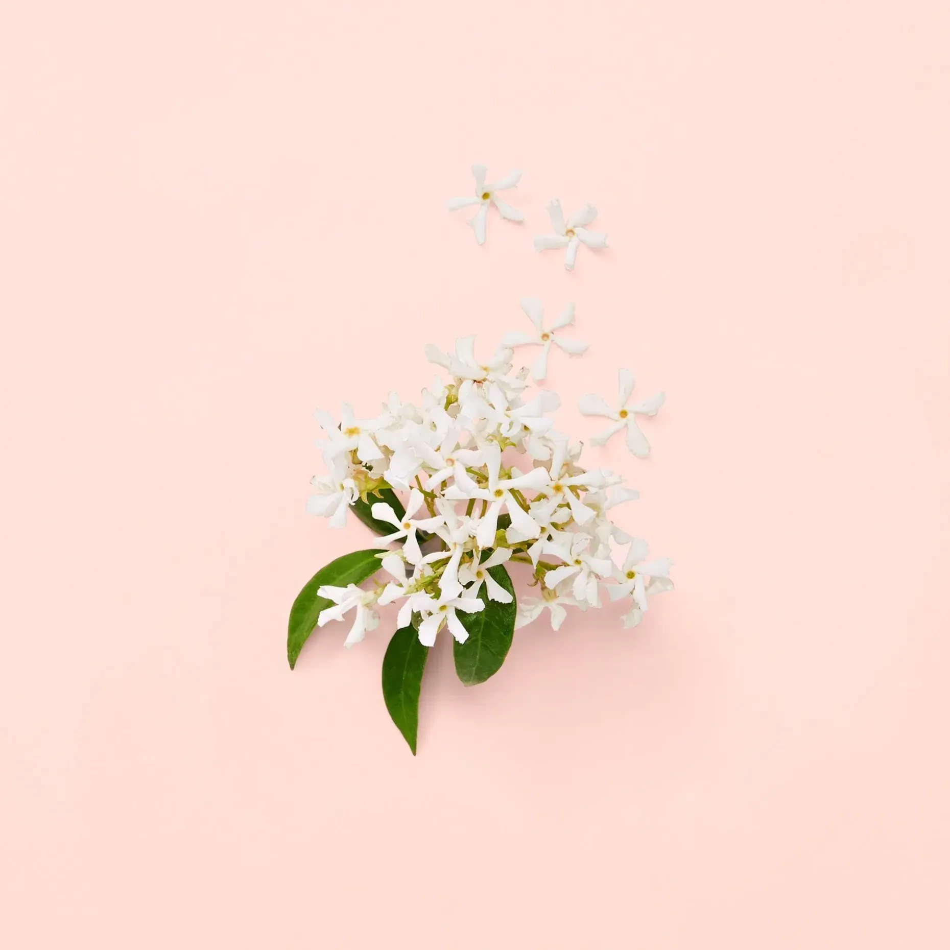 Gucci Bloom EdP tuoksu 30 ml