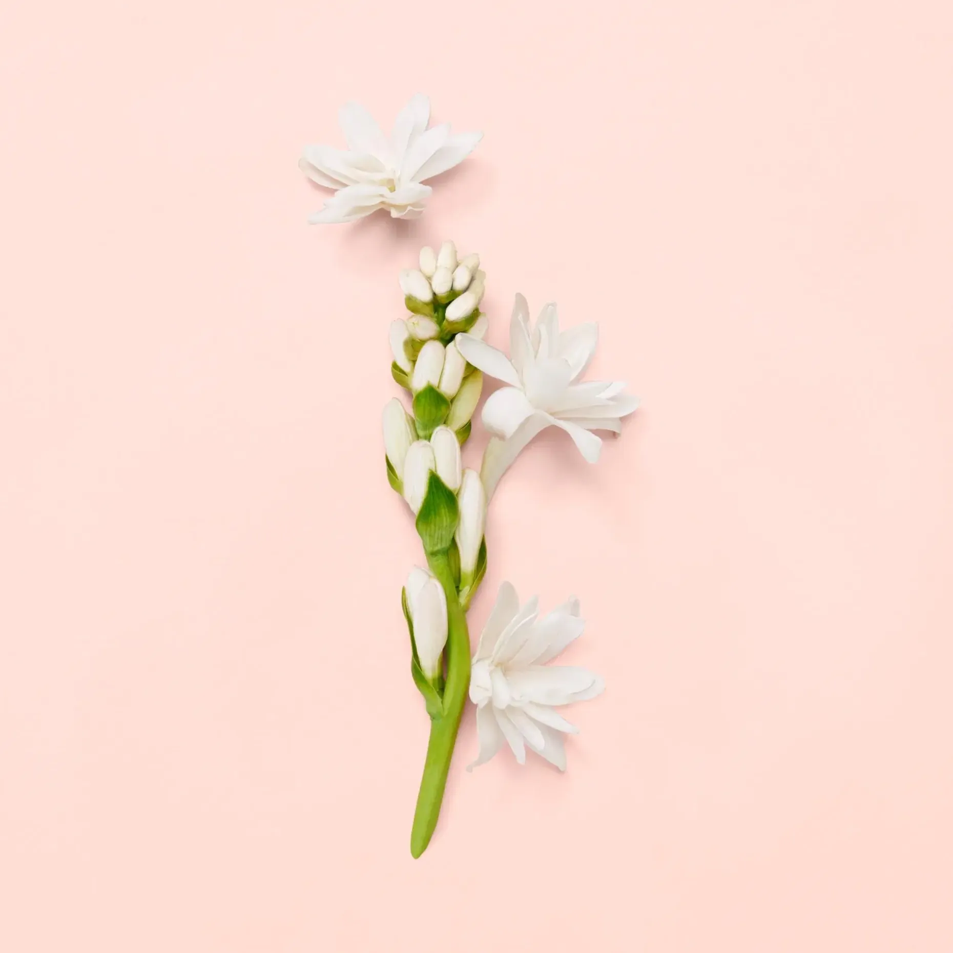 Gucci Bloom EdP tuoksu 30 ml