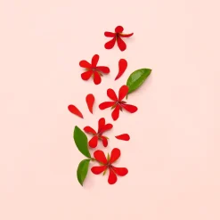 Gucci Bloom EdP tuoksu 30 ml