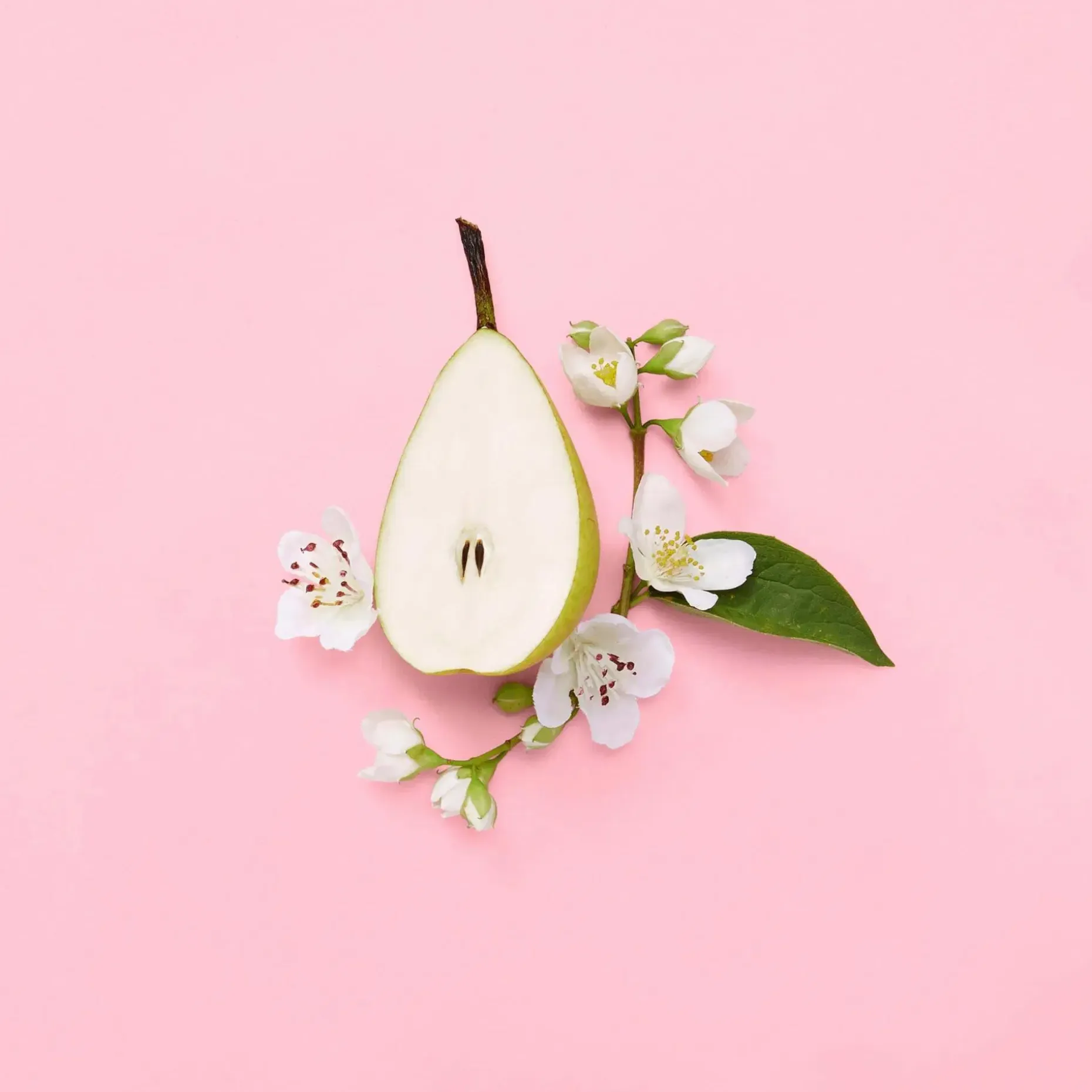 GUCCI Flora Gorgeous Gardenia EdP tuoksu 30 ml