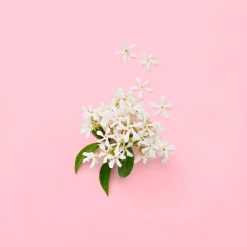 Gucci Flora Gorgeous Jasmin for Woman EdP tuoksu 30 ml