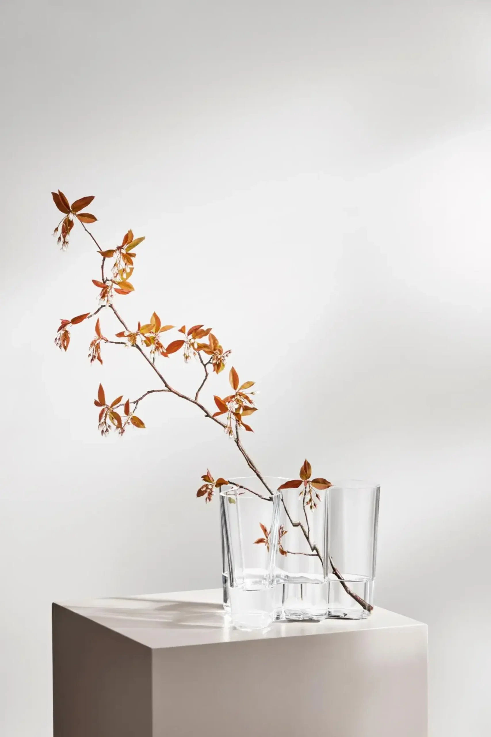 Iittala Aalto maljakko 16 cm, kirkas