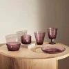 Iittala Kastehelmi juomalasi 30 cl kanerva, 2 kpl