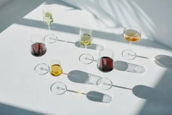 Iittala Kuohuviinilasi Essence 21 cl 2 kpl kirkas