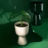 Iittala Nappula ruukku S 230x155mm beige