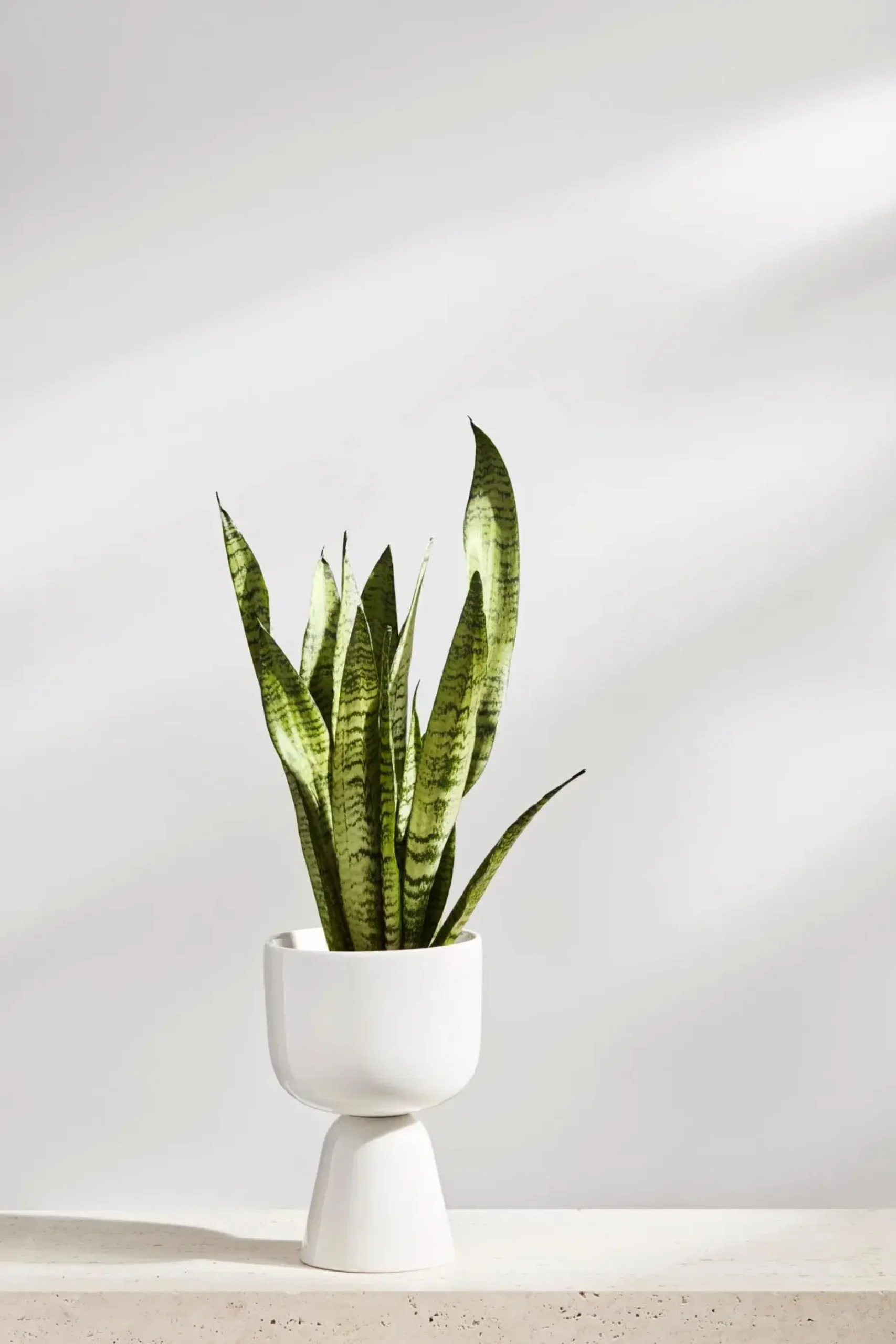 Iittala Nappula ruukku S 230x155mm valkoinen