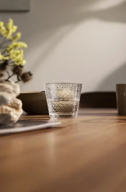 Iittala Tundra juomalasi 29cl kirkas 2kpl