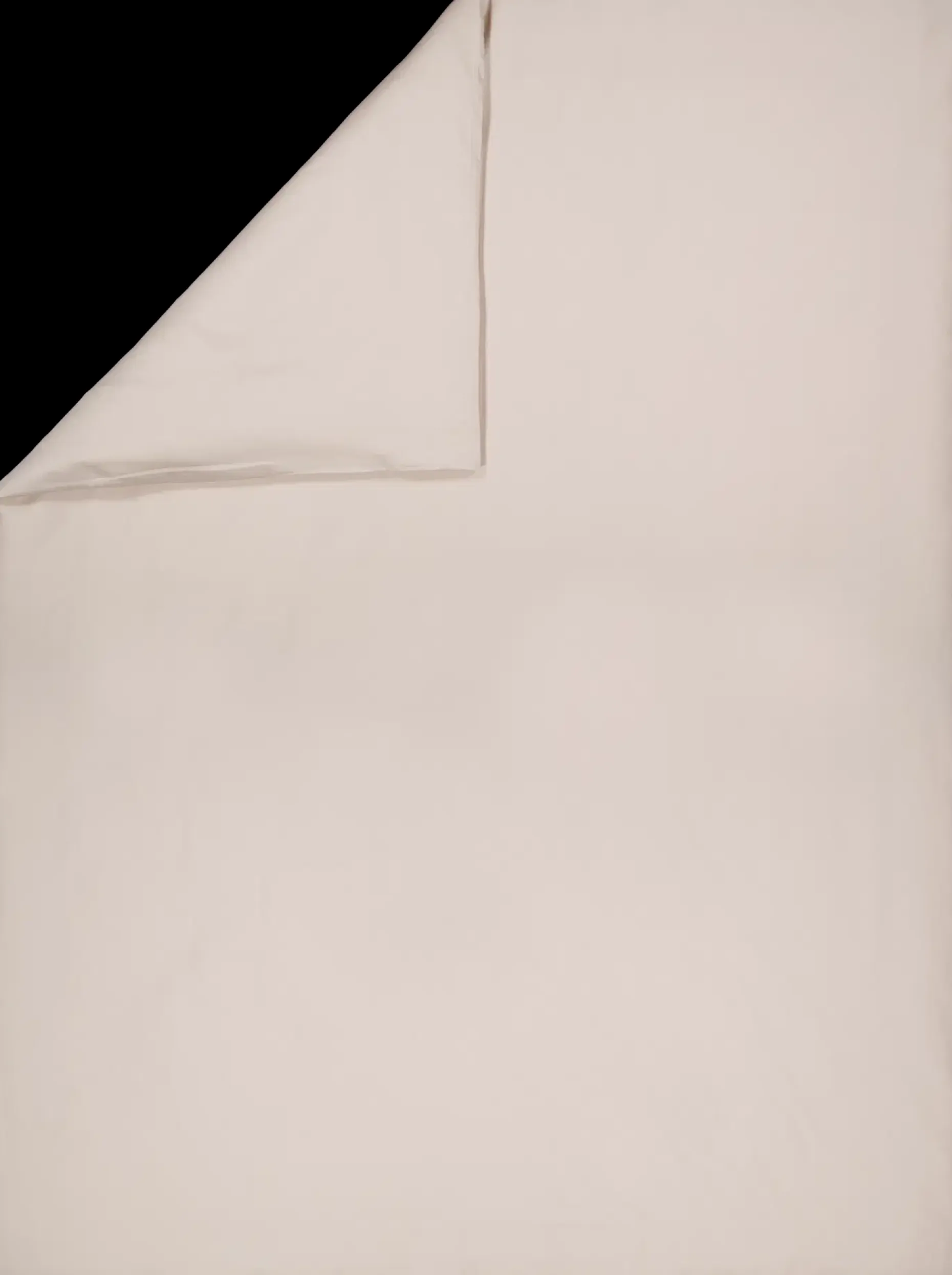 in Bloom satiinipussilakanasetti 150x210+50x60cm beige