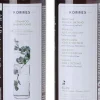 KORRES Aloe & Dittany Shampoo 200 ml