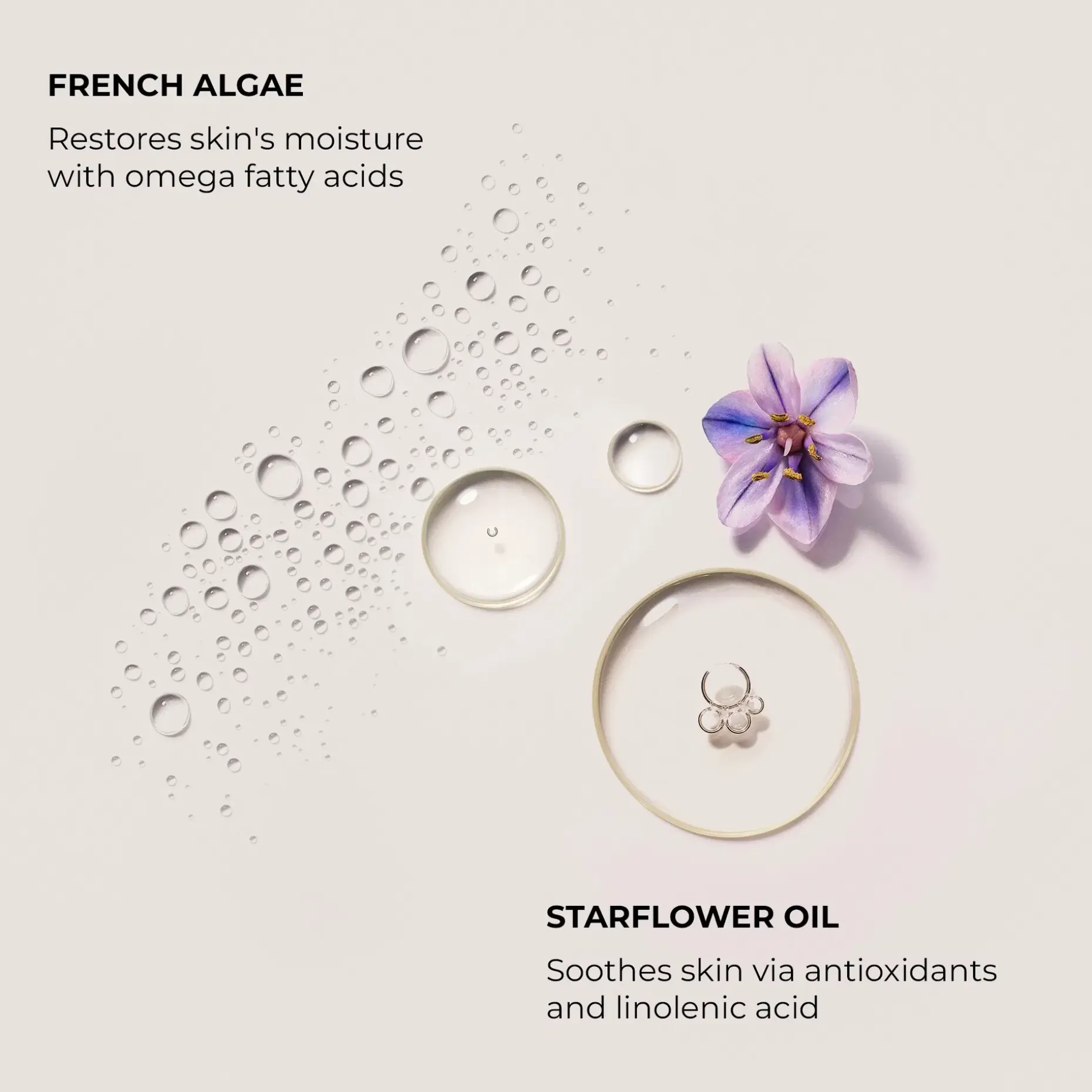 Laura Mercier Serum Body Cream Ambre Vanille vartalovoide 200 ml
