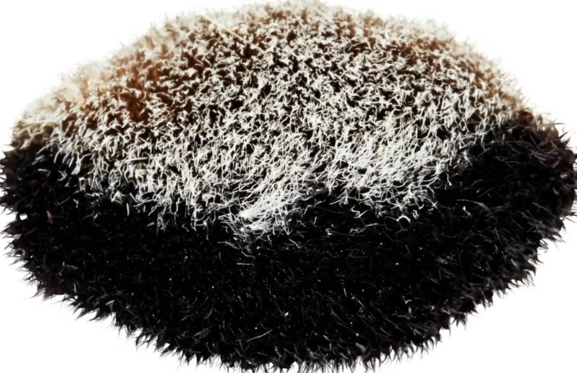 MAC Split Fibre Face Brush 127s kasvosivellin