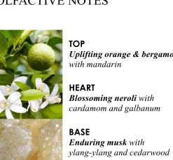 Molton Brown Orange & Bergamot Aroma Reeds tuoksutikut 150 ml