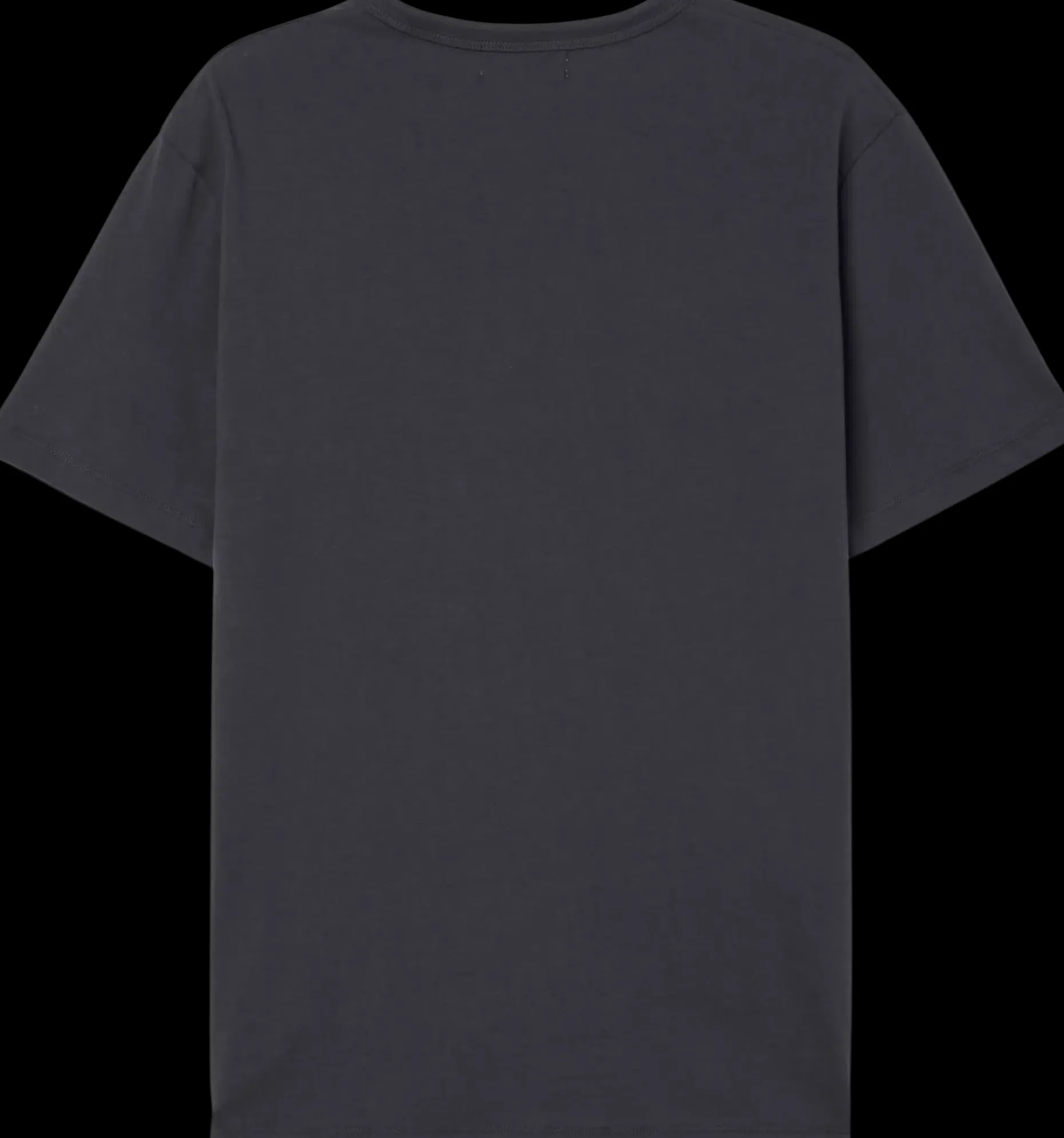 NORVIE beiron t-paita