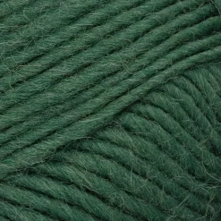 Novita lanka Hygge Chunky 100 g metsä 380