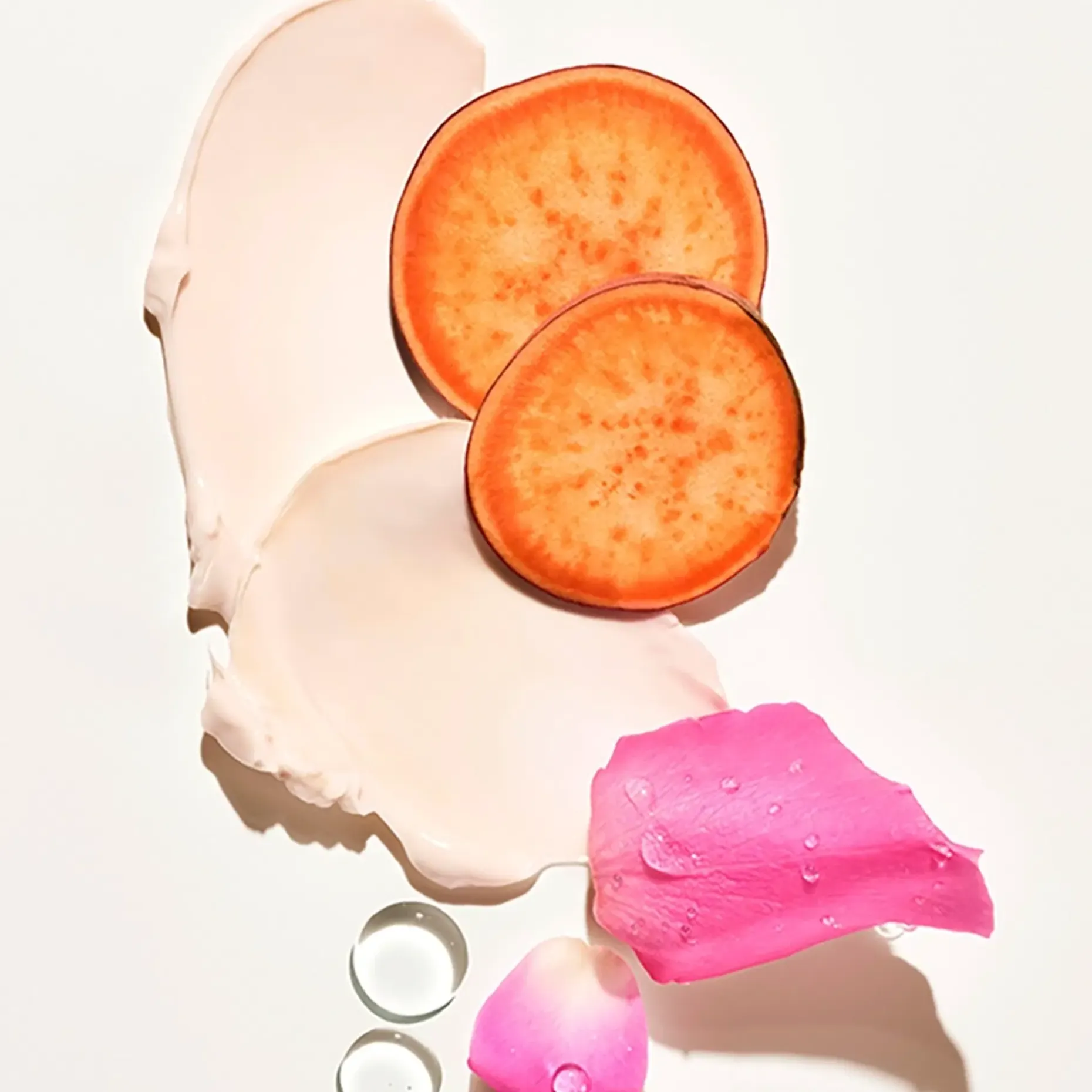 Rosa Charmosa Dewy Cream 240ml