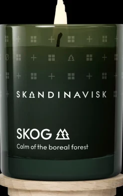 Skandinavisk SKOG Tuoksukynttilä puukannella 65g, vihreä