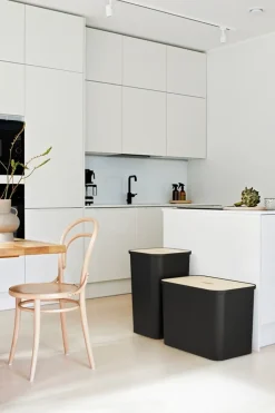 SmartStore™ kannellinen lajittelulaatikko Collect 53 L
