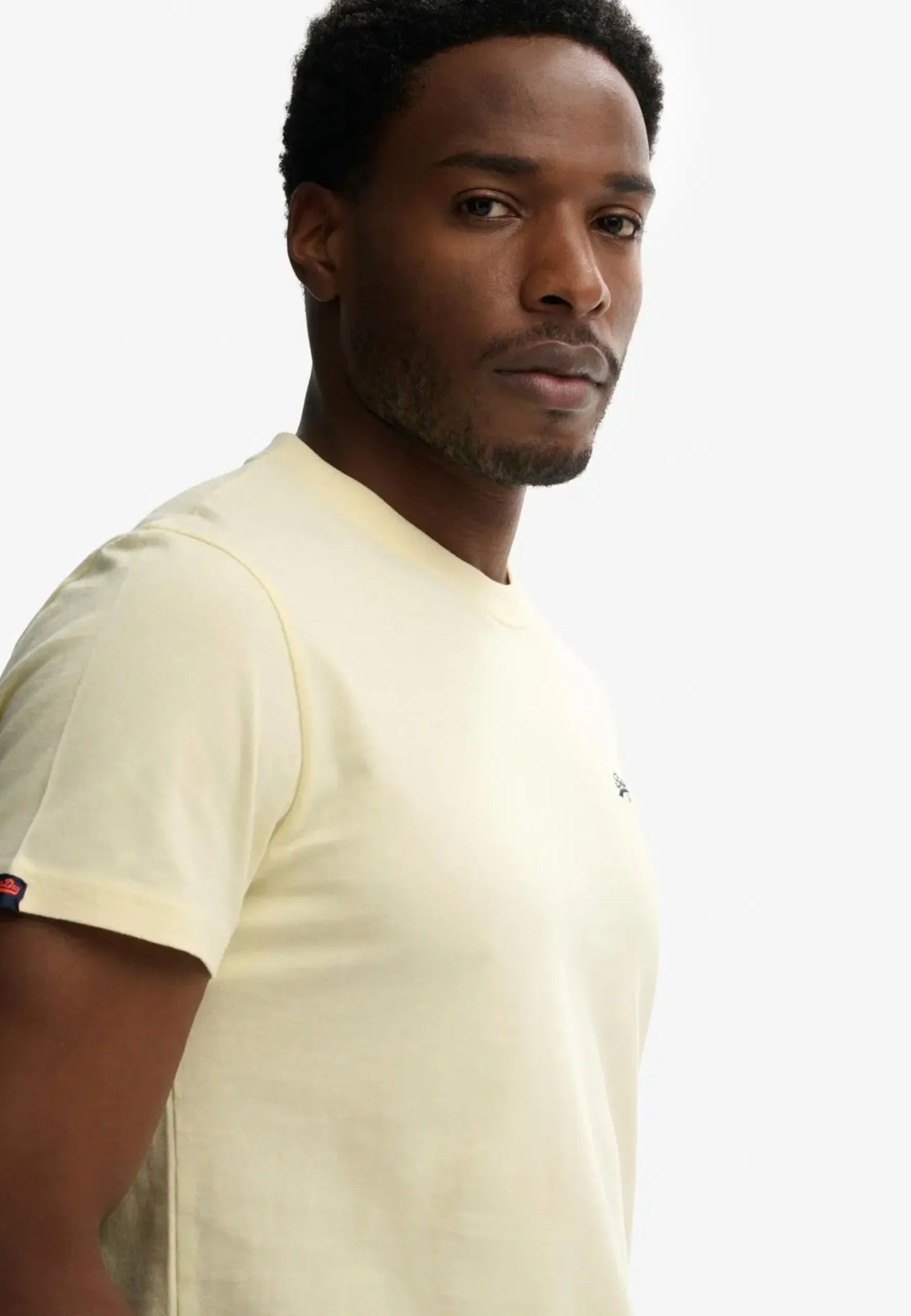 Superdry Essential logo t-paita