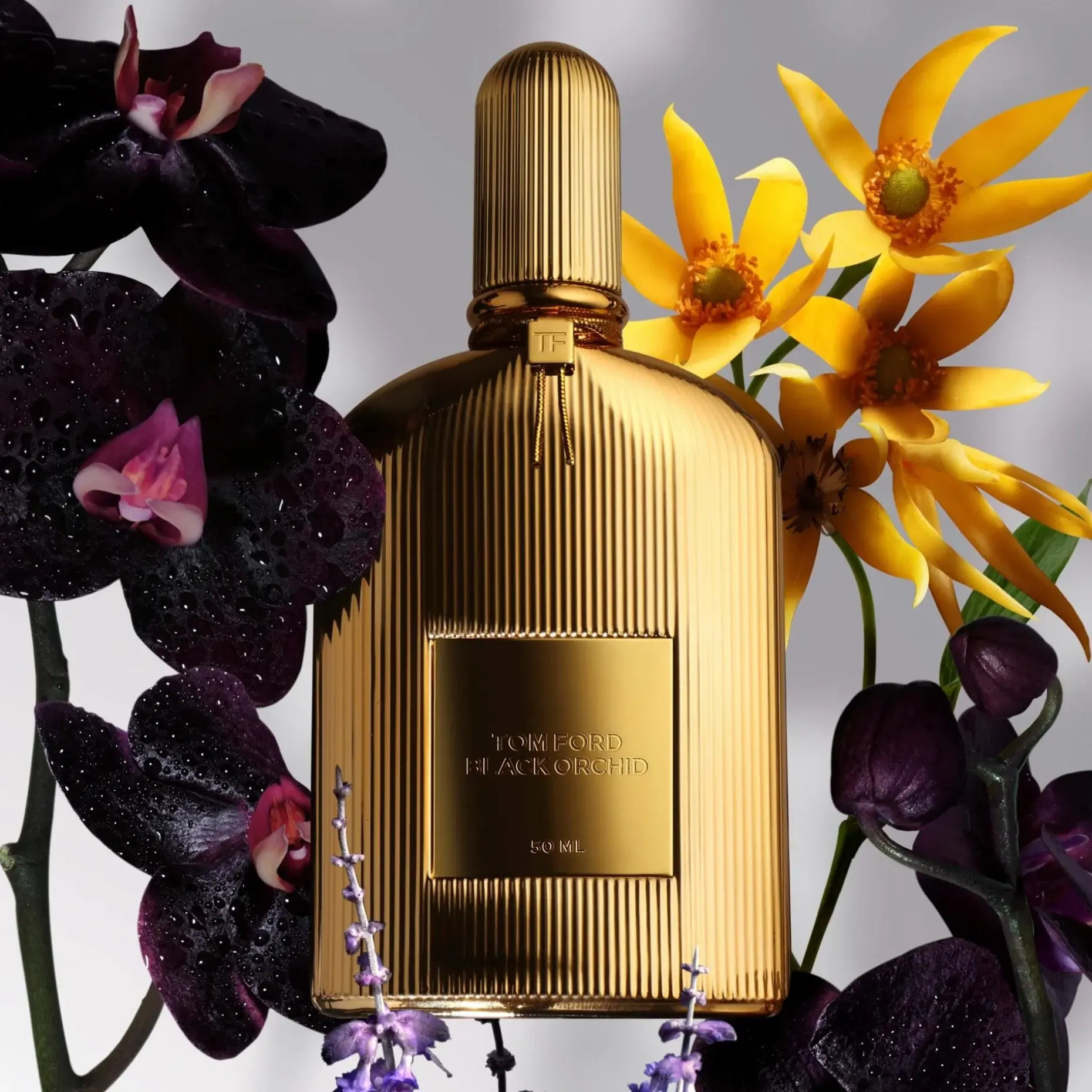 Tom Ford Black Orchid Parfum tuoksu 50 ml