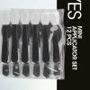 WE CARE ICON. Mini Applicator Set applikaattori 12 kpl